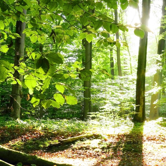 Meet your Posher, Jodi - Picture 1 of 1